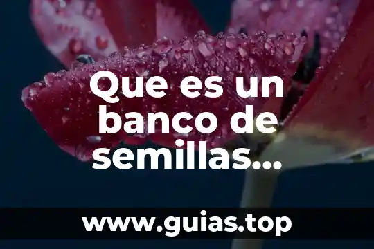 Que es la plaza en una cuenta de banco 4 Que es un banco de semillas resumen