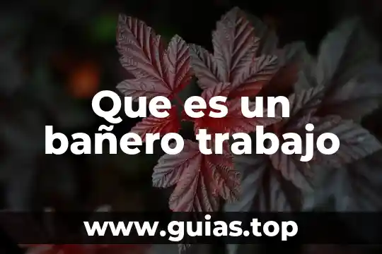 Que es un leyaut estudio del trabajo 3 Que es un bañero trabajo