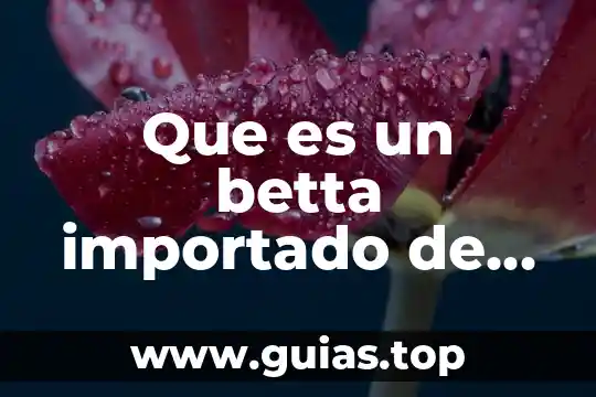 Que es seleccion animal 8 Que es un betta importado de seleccion