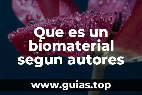 Qué es la voluntad según el código civil federal 7 Que es un biomaterial segun autores