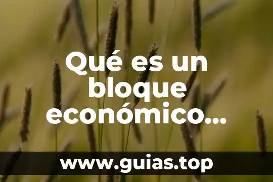 Que es el mapa de sol o flor 7 Qué es un bloque económico concepto