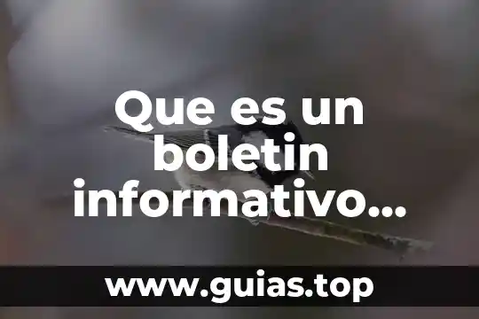 Que es un articulo informativo ciencias de la comunicacion 4 Que es un boletin informativo explicación para niños