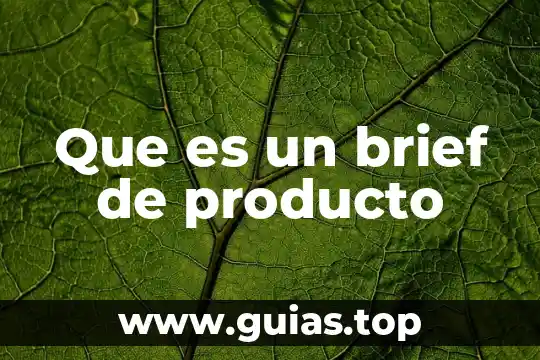 Qué es la definición del producto o servicio 3 Que es un brief de producto