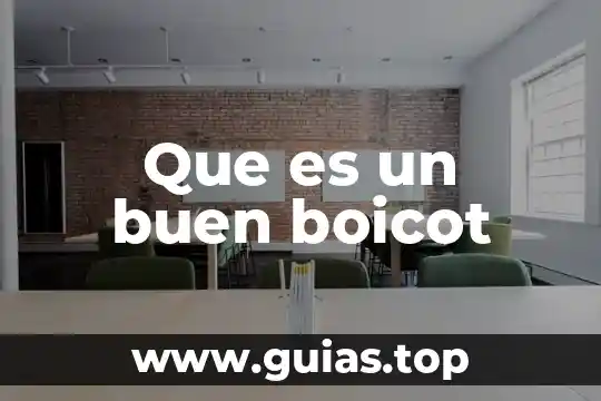 Qué es un buen viaje 4 Que es un buen boicot