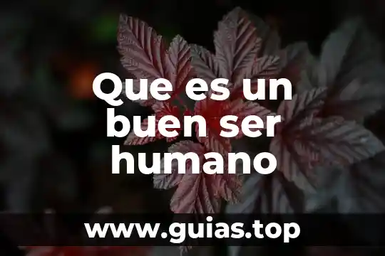Que es asexual en el ser humano 6 Que es un buen ser humano