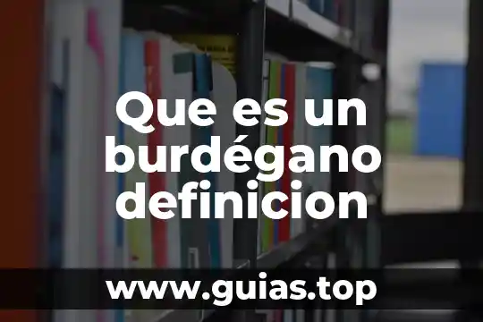Que es internet definicion o concepto 8 Que es un burdégano definicion