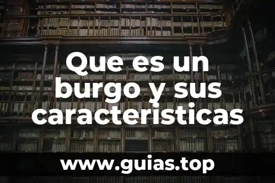 Que es un texto argumento artigacutivo y sus caracteristicas 4 Que es un burgo y sus caracteristicas