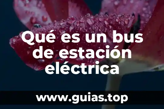Qué es un bus de datos y qué tipos existen 5 Qué es un bus de estación eléctrica