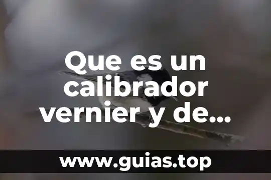 Que es manchas de sangre y de que tipo hay 7 Que es un calibrador vernier y de que tipos hay
