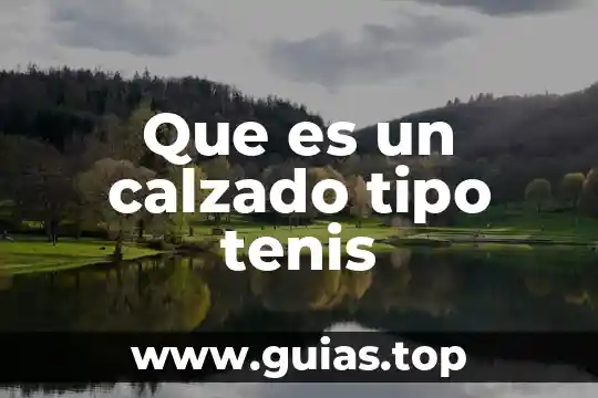 Tipo radial que es 7 Que es un calzado tipo tenis