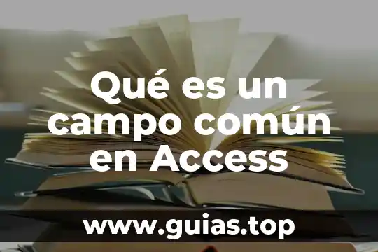 Que es tipo de datos en access 4 Qué es un campo común en Access