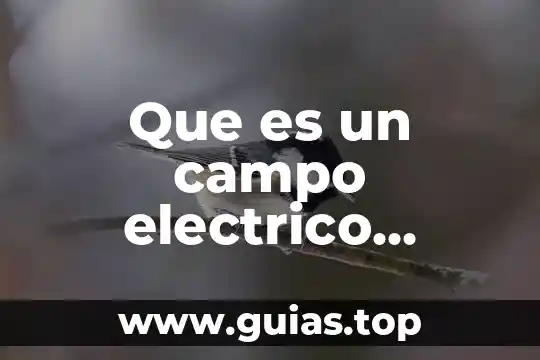 Que es un elemento pasivo en un circuito electrico 4 Que es un campo electrico inducido