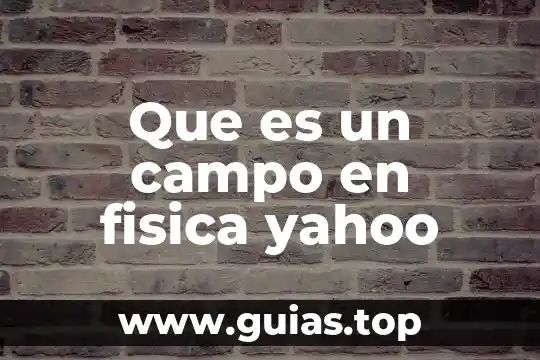 Qué es avelocidad en física 6 Que es un campo en fisica yahoo