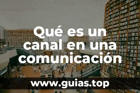 Que es ser primodelincuente 8 Qué es un canal en una comunicación