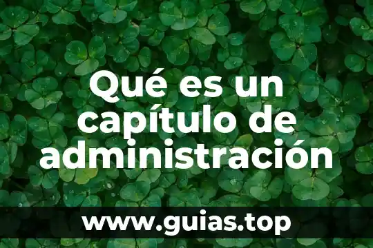 Que es una administracion hopitalaria 8 Qué es un capítulo de administración