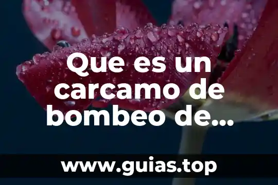 Que es la planta recicladora de agua lerma 8 Que es un carcamo de bombeo de agua negras