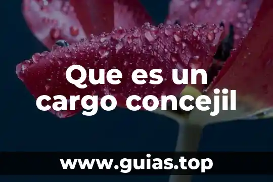 Que es cuenta a cargo estado 4 Que es un cargo concejil