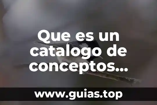 Que es un ser colectivo 8 Que es un catalogo de conceptos referente a nominas