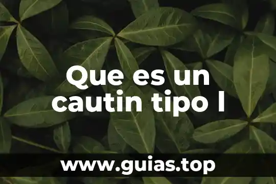Tipo de cambio definición qué es y concepto economipedia 8 Que es un cautin tipo l