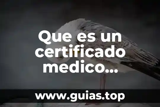 Médico internista en México que es 3 Que es un certificado medico prelaboral