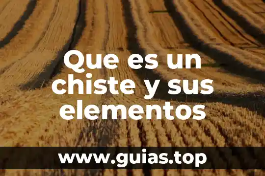 Qué es la manga elementos 3 Que es un chiste y sus elementos
