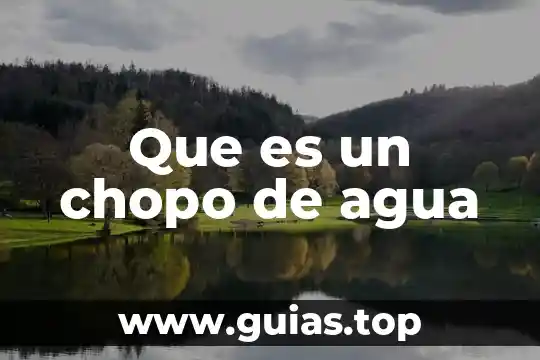 Que es un ciclo de agua 5 Que es un chopo de agua