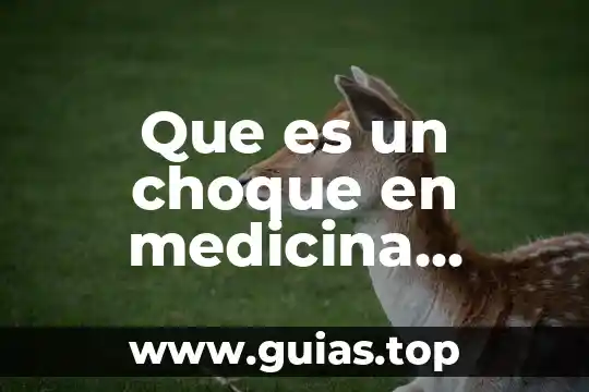 Qué es incubadora en medicina 8 Que es un choque en medicina veterinaria