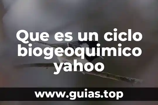 Que es el ciclo celular ejemplo 8 Que es un ciclo biogeoquimico yahoo