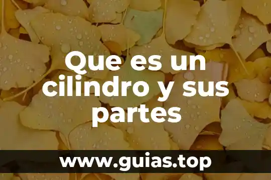 Las partes de la flor que es el pétalo 8 Que es un cilindro y sus partes
