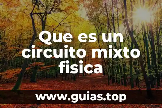 Que es accion en fisica 8 Que es un circuito mixto fisica