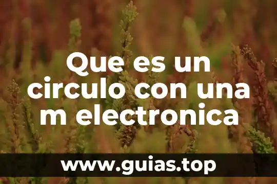 A que es Ihual m x m 3 Que es un circulo con una m electronica