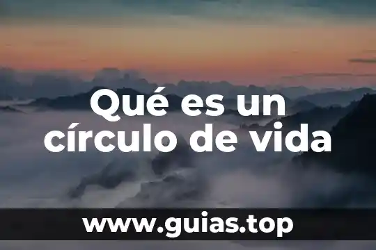Pqra que es el fintro de muerte en vida 4 Qué es un círculo de vida