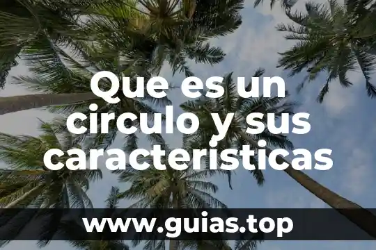Circulo guía que es un sistema 8 Que es un circulo y sus caracteristicas
