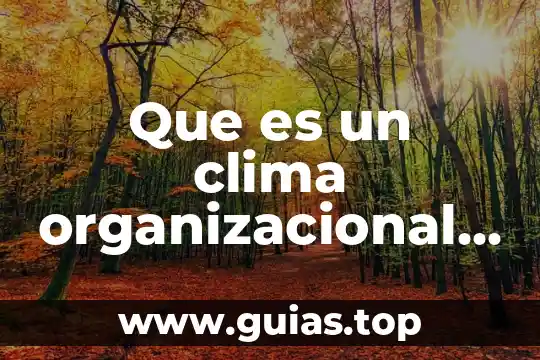 Qué es estado estable en lógica combinatoria 3 Que es un clima organizacional estable