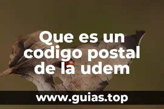 Qué es escanear código QR 7 Que es un codigo postal de la udem