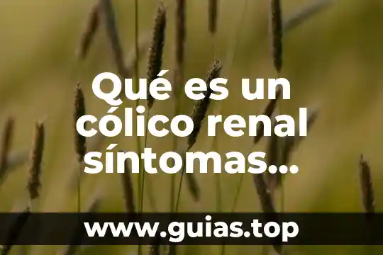 Que es la arteria renal y su funcion 3 Qué es un cólico renal síntomas causas