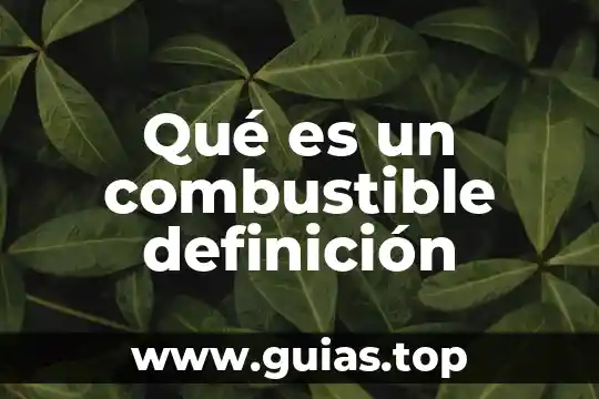 Qué es gesticular definición 5 Qué es un combustible definición