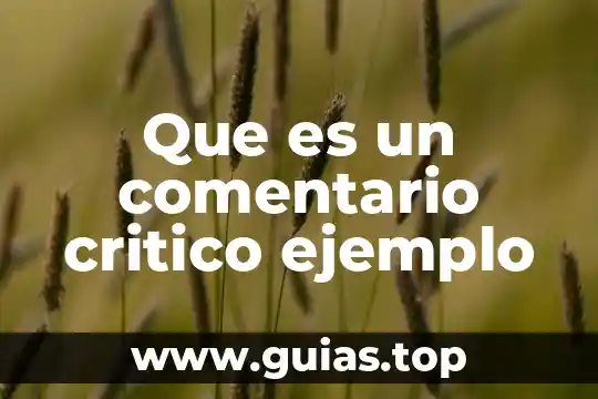 Qué es antilogía concepto y ejemplo 7 Que es un comentario critico ejemplo