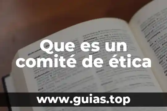 Definicion concepto largo de que es etica 8 Que es un comité de ética
