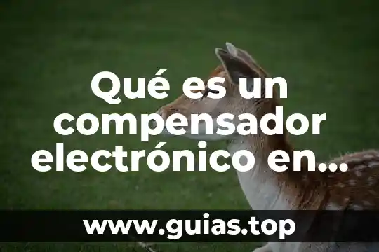 Que es una rcchivo electronico 3 Qué es un compensador electrónico en estación total