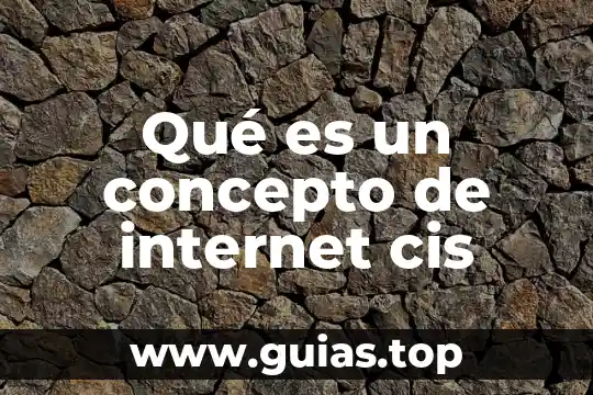 Qué es ing en producción animal 5 Qué es un concepto de internet cis