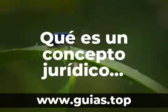 Que es experimentar definición para niños 3 Qué es un concepto jurídico fundamental definición