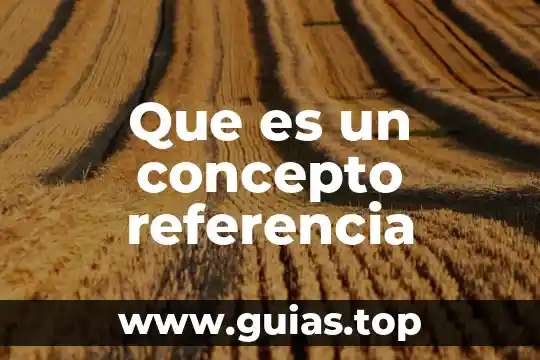 Que es el mapa de sol o flor 3 Que es un concepto referencia