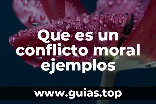 Tributar como persona moral o persona física qué es mejor 3 Que es un conflicto moral ejemplos
