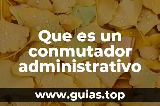 Que es administrativo publico 3 Que es un conmutador administrativo