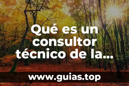 Concepto tecnico de que es lengua 3 Qué es un consultor técnico de la fiscalía general