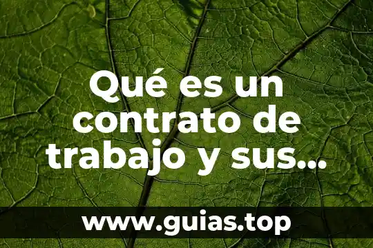 Trabajo de planta que es 3 Qué es un contrato de trabajo y sus partes