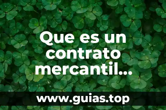 Qué es la moneda de pago en derecho mercantil 8 Que es un contrato mercantil concepto