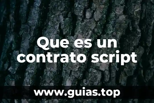 Que es el fruto planta 6 Que es un contrato script