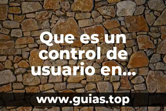 Que es la rietlno visual y los tipos que comprende 7 Que es un control de usuario en visual basic